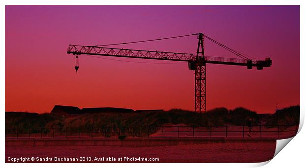 Crane At Sunset Print by Sandra Buchanan