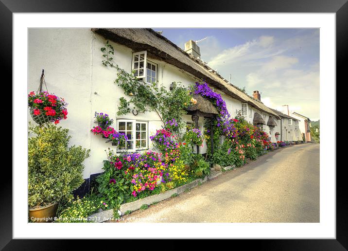 Flowers at Branscombe Framed Mounted Print by Rob Hawkins
