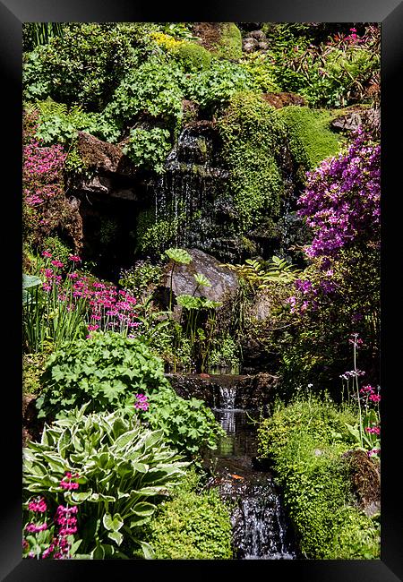 Bodnant garden Framed Print by Gail Johnson