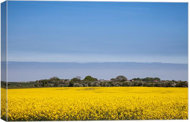 Views around Bamburgh Canvas Print by Gail Johnson