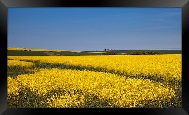 Views around Bamburgh Framed Print by Gail Johnson