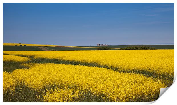 Views around Bamburgh Print by Gail Johnson