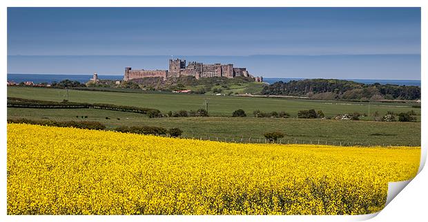 Views around Bamburgh Print by Gail Johnson