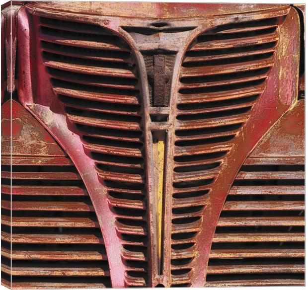 Red Grille Canvas Print by Mary Lane