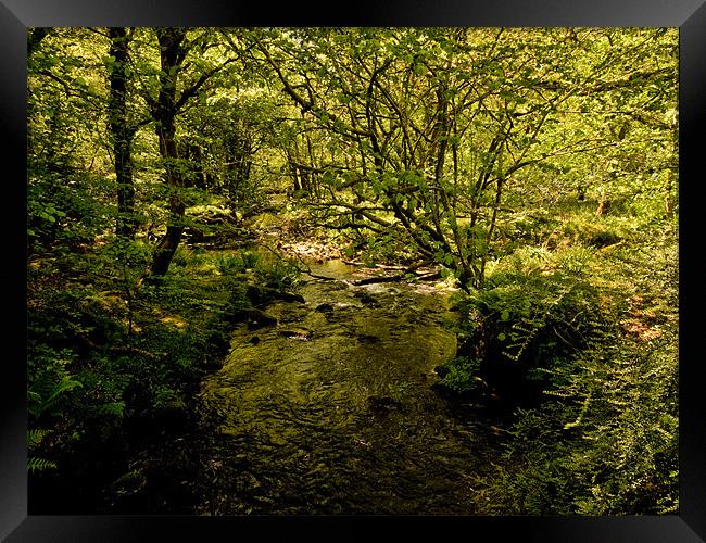 River Meavy, Dartmoor Framed Print by Jay Lethbridge