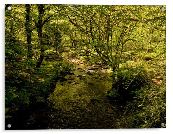 River Meavy, Dartmoor Acrylic by Jay Lethbridge