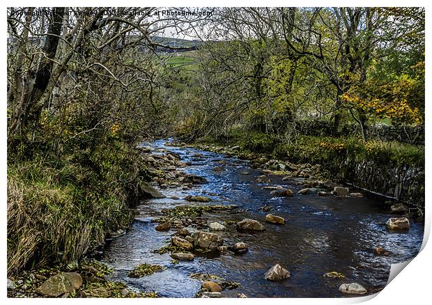 River Swale Yorkshire Dales Print by Trevor Kersley RIP
