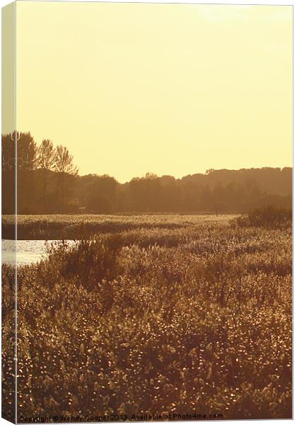 Golden Hour Reeds Canvas Print by Wendy Cooper
