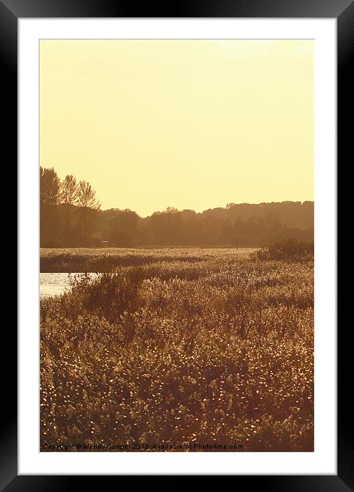 Golden Hour Reeds Framed Mounted Print by Wendy Cooper