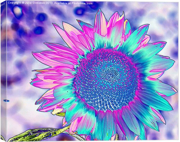 Summer Sunflower Canvas Print by Julie Ormiston