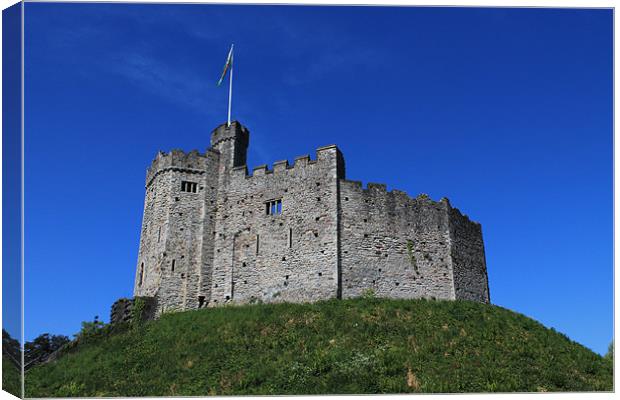 Cardiff Castle Canvas Print by Hayley Dew