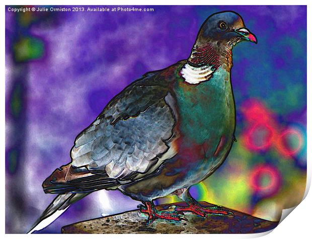 Funky Wood Pigeon Print by Julie Ormiston