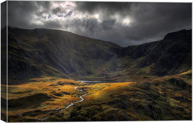The river from Llyn Idwal Canvas Print by Rory Trappe