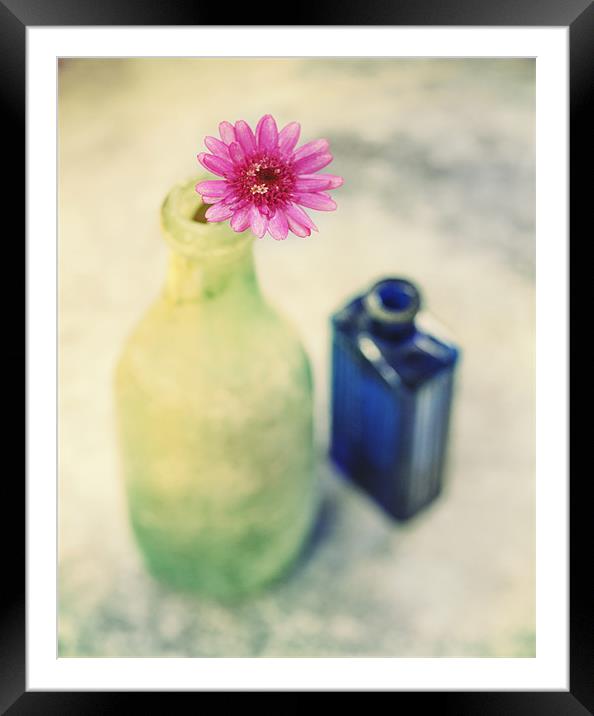 Flower and Old Bottles Framed Mounted Print by James Rowland