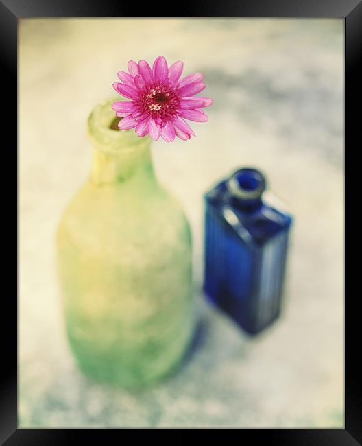 Flower and Old Bottles Framed Print by James Rowland