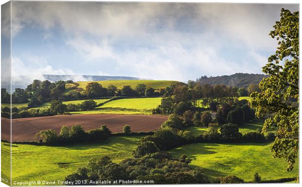 Englands Pastures Green Canvas Print by David Tinsley