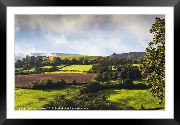 Englands Pastures Green Framed Mounted Print by David Tinsley