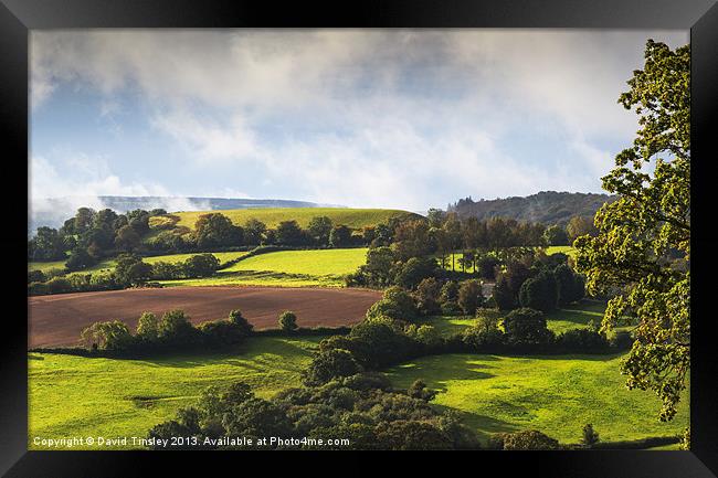 Englands Pastures Green Framed Print by David Tinsley