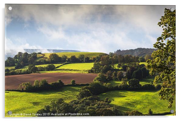 Englands Pastures Green Acrylic by David Tinsley
