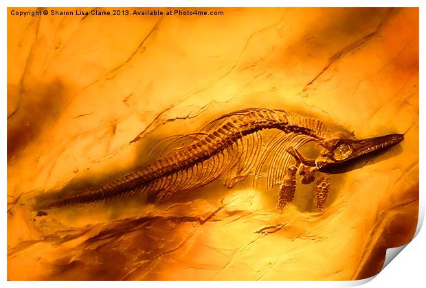 Ichthyosaur Print by Sharon Lisa Clarke