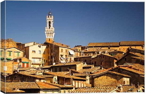 Sienna Rooftops & the Torre del Mangia Canvas Print by Ray Nelson