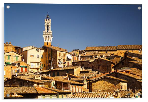 Sienna Rooftops & the Torre del Mangia Acrylic by Ray Nelson