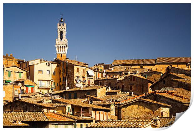 Sienna Rooftops & the Torre del Mangia Print by Ray Nelson