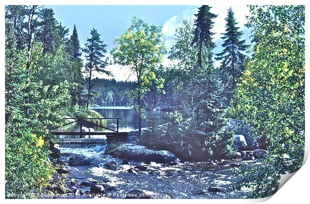 Rushing River Provincial Park Print by David Davies