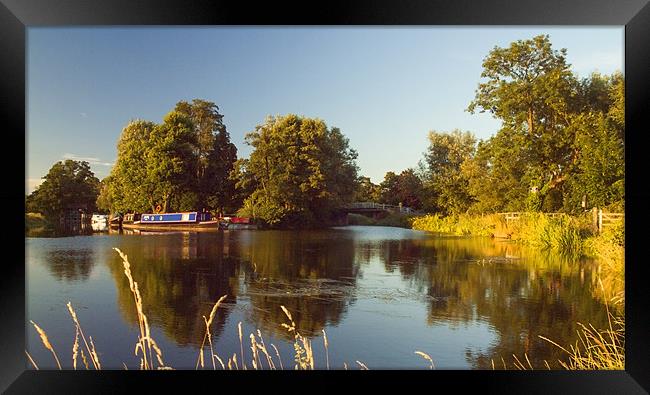 River Wey pyrford Framed Print by Clive Eariss