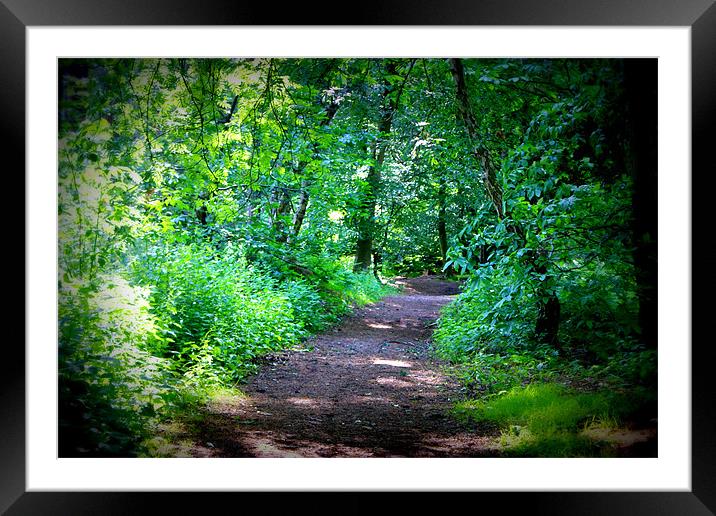 Forest Trail Framed Mounted Print by Gail Surplice