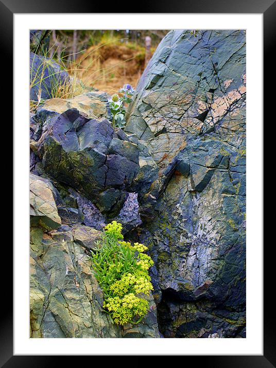 Green Stone Framed Mounted Print by Gail Surplice