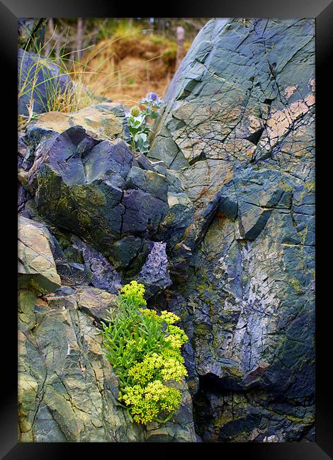 Green Stone Framed Print by Gail Surplice