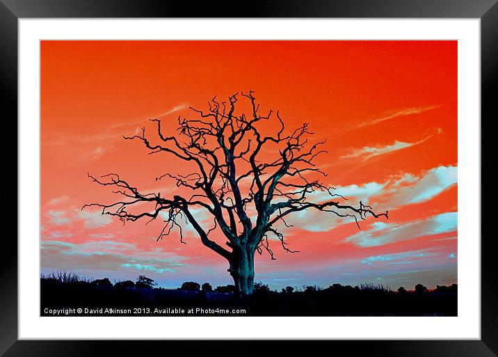 DEAD BUT STILL STANDING Framed Mounted Print by David Atkinson