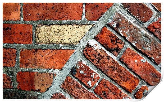Tectonic Bricks Print by Stephen Maxwell