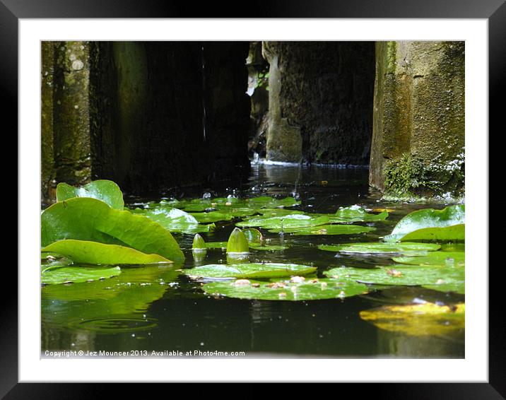 Victorian Fountain Lilly Pads Framed Mounted Print by Jez Mouncer
