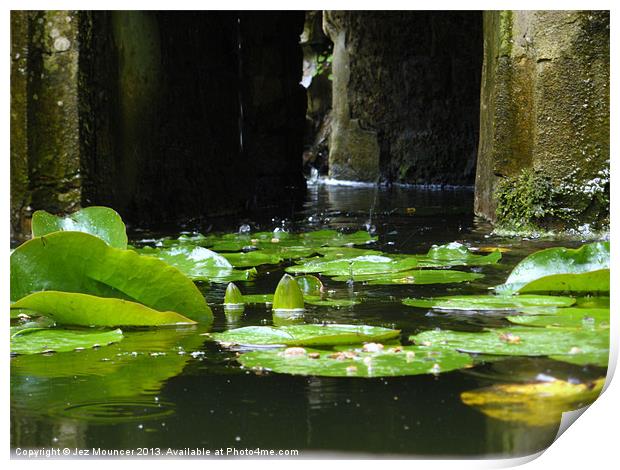 Victorian Fountain Lilly Pads Print by Jez Mouncer