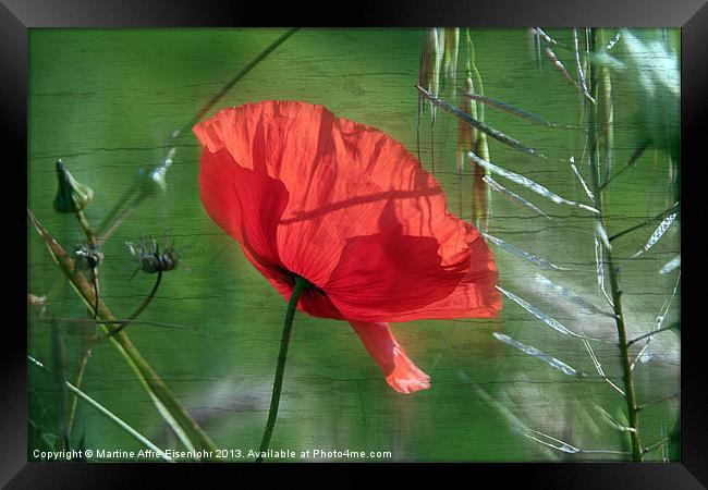 Happy poppy Framed Print by Martine Affre Eisenlohr