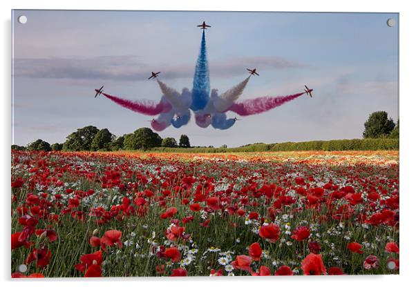 Red Arrows Acrylic by Northeast Images