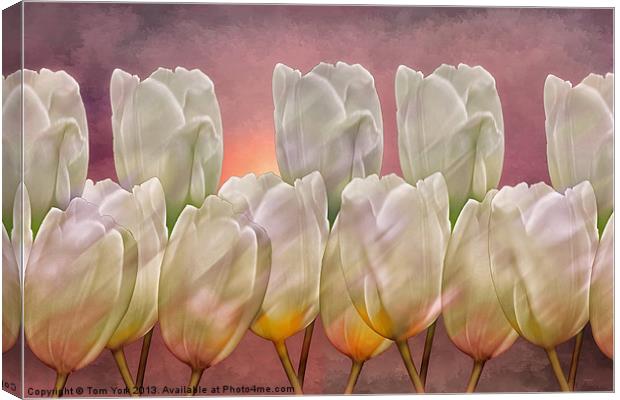 TULIP ABSTRACT Canvas Print by Tom York