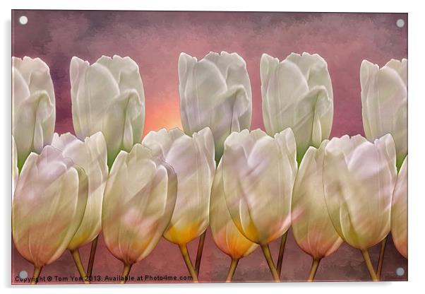 TULIP ABSTRACT Acrylic by Tom York
