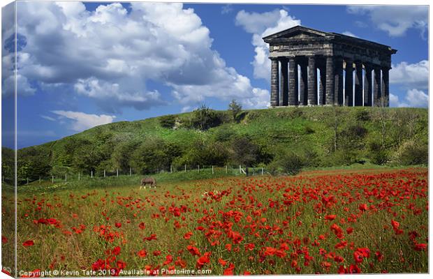 Penshaw Poppies Canvas Print by Kevin Tate
