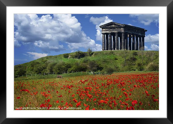 Penshaw Poppies Framed Mounted Print by Kevin Tate
