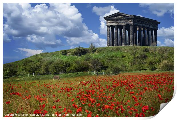 Penshaw Poppies Print by Kevin Tate