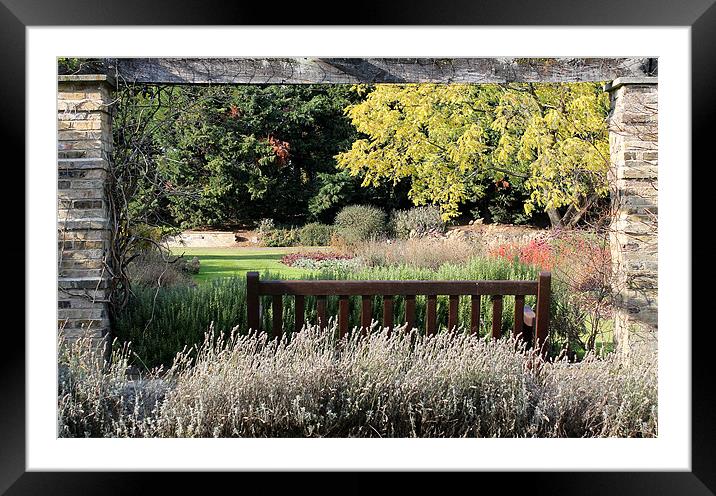 Framing Framed Mounted Print by Rebecca Giles