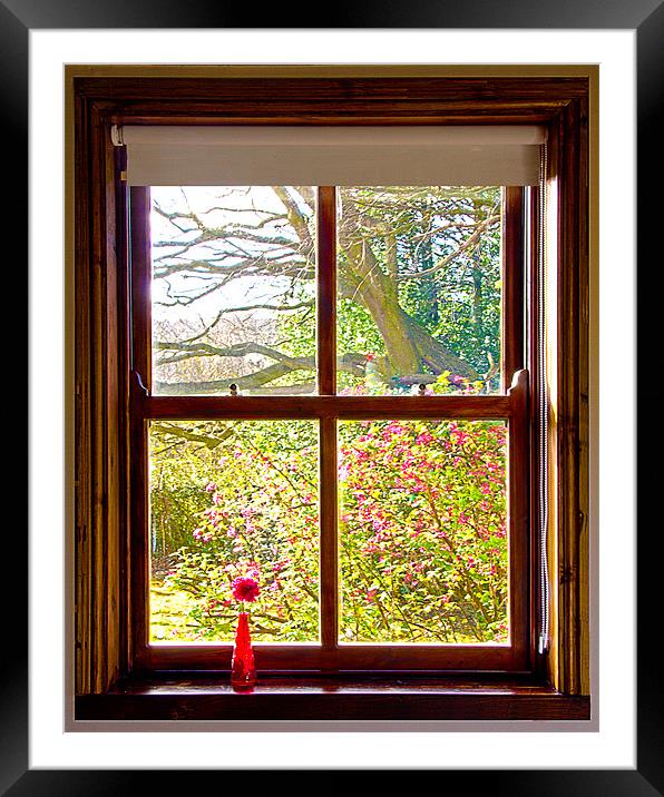 Looking through the window Framed Mounted Print by Rick Parrott