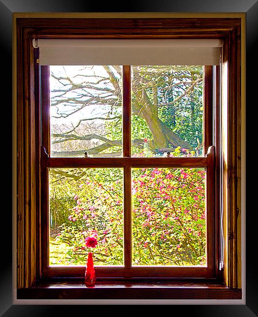 Looking through the window Framed Print by Rick Parrott