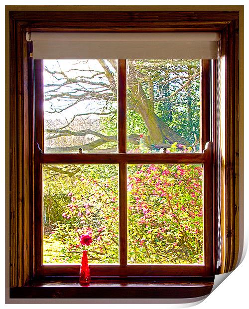 Looking through the window Print by Rick Parrott