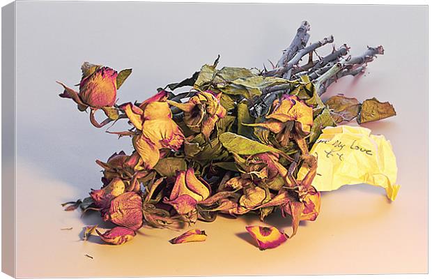 Yesterdays Roses Canvas Print by Rick Parrott