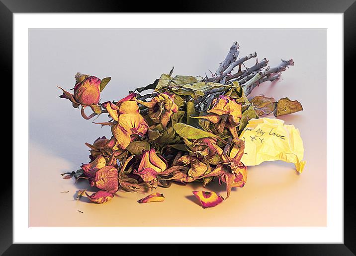 Yesterdays Roses Framed Mounted Print by Rick Parrott