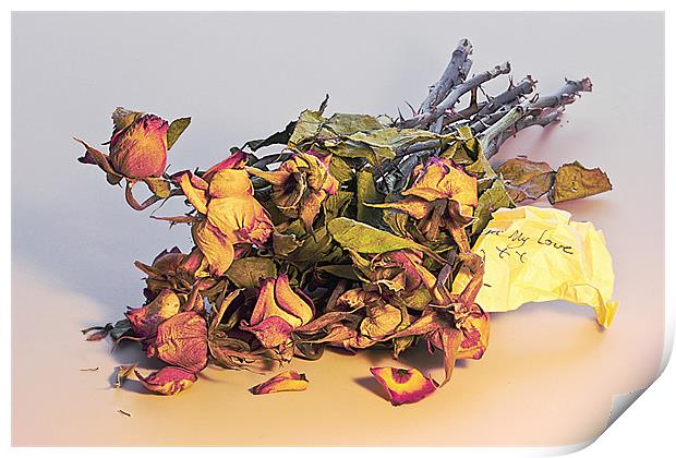 Yesterdays Roses Print by Rick Parrott